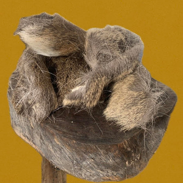 Peau de cerf avec poils