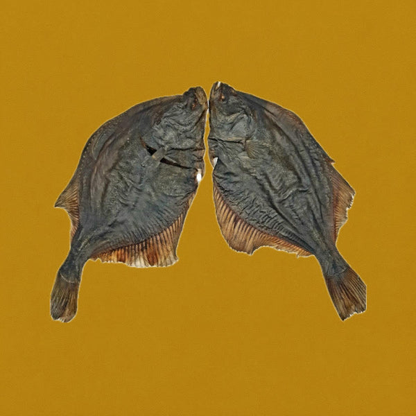Plie Entière