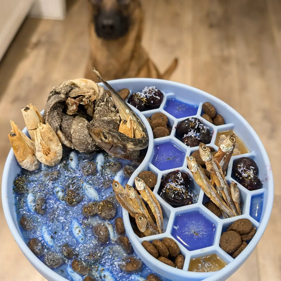 Activités de léchage