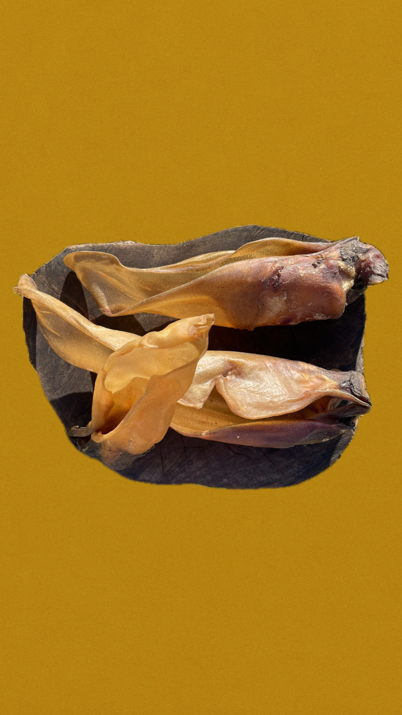 Les mastications & friandises