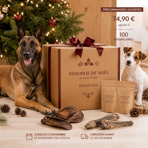 La Panoplie de Noël 🎁
