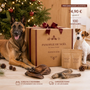 La Panoplie de Noël 🎁