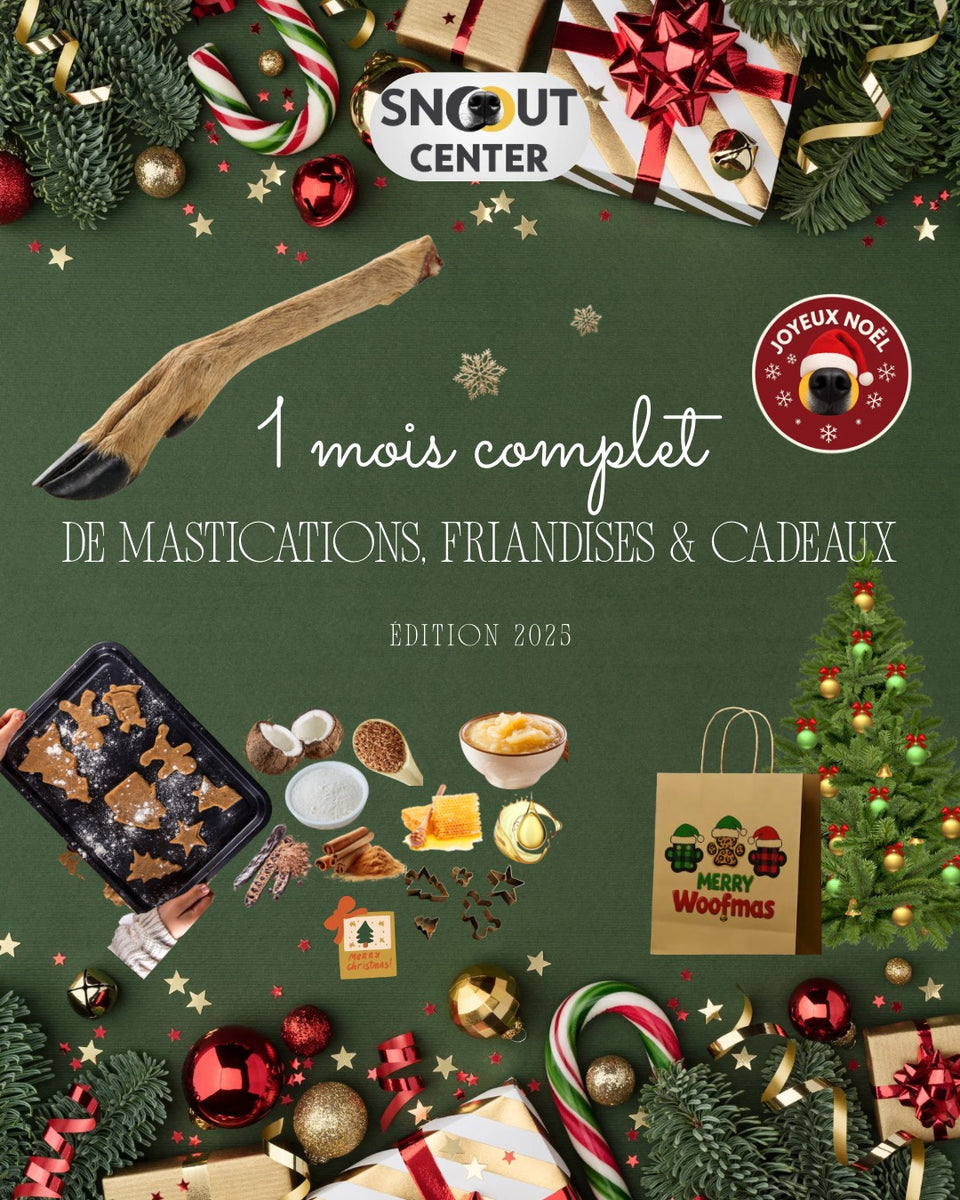 La Panoplie de Noël