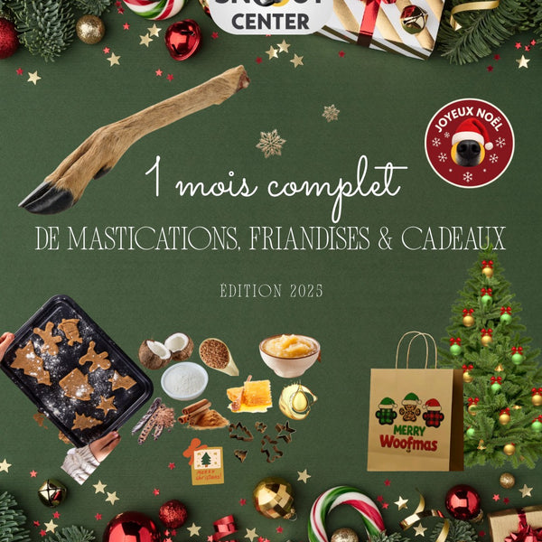 La Panoplie de Noël