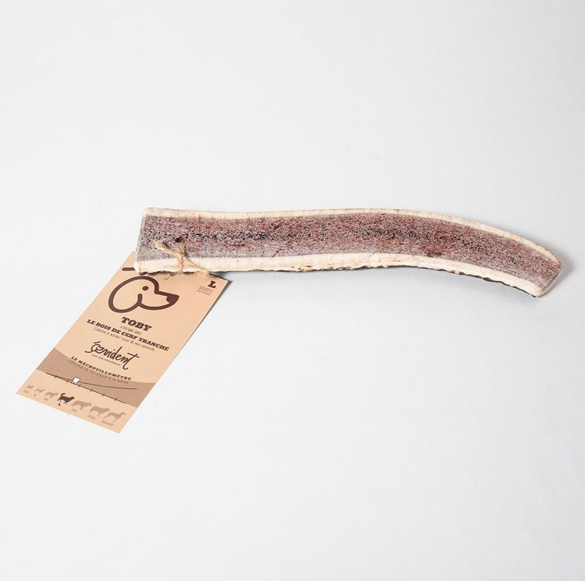 Bois de cerf tranché