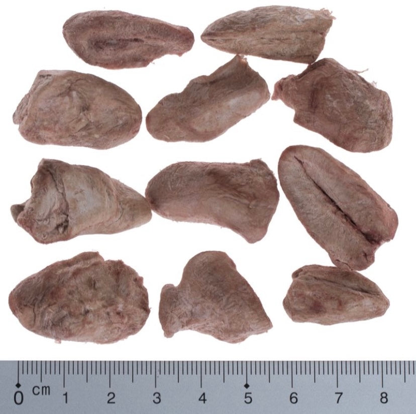 Abats et viandes lyophilisées