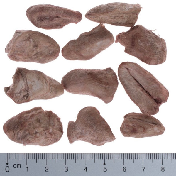 Abats et viandes lyophilisées