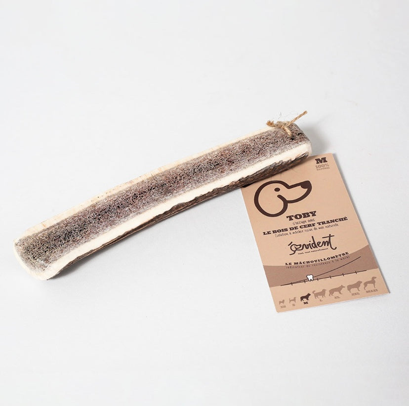 Bois de cerf tranché