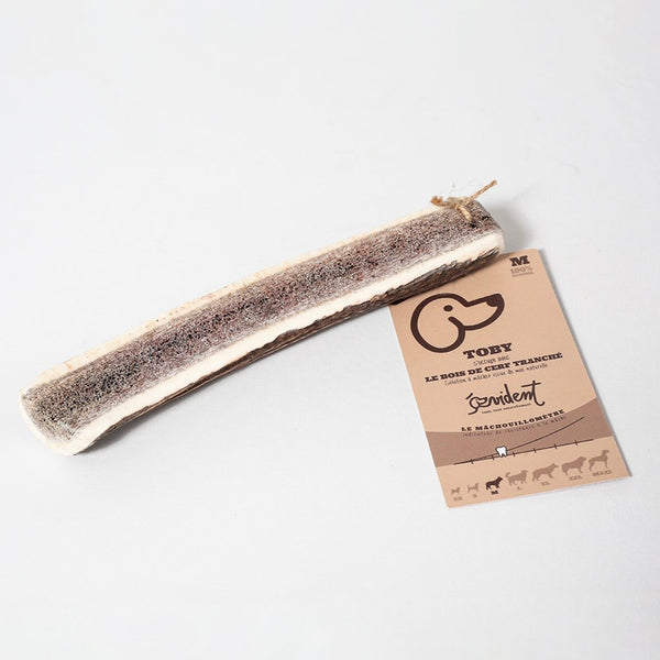 Bois de cerf tranché