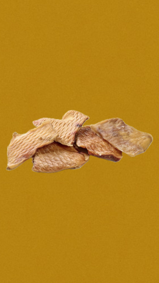 Plaque de peau de boeuf