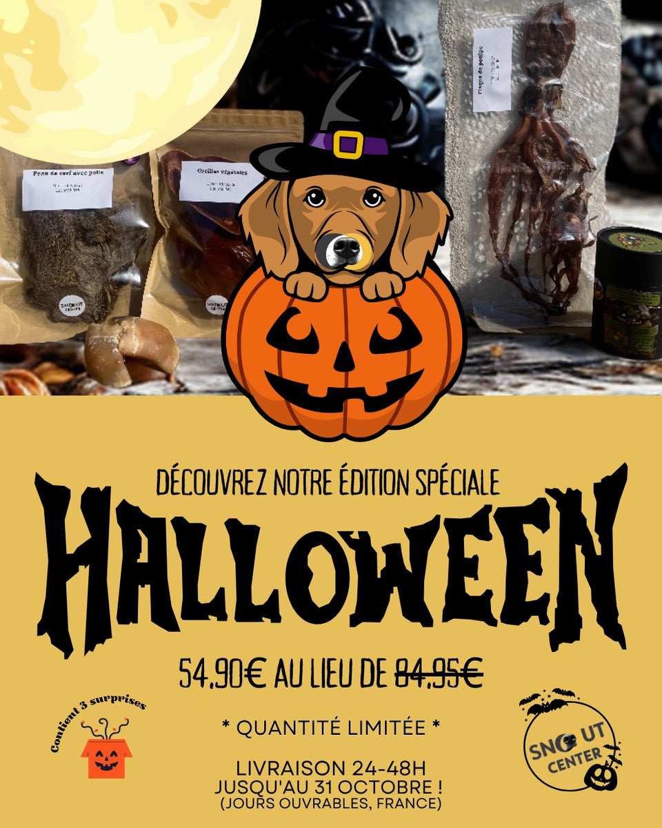 Box surprise d'Halloween