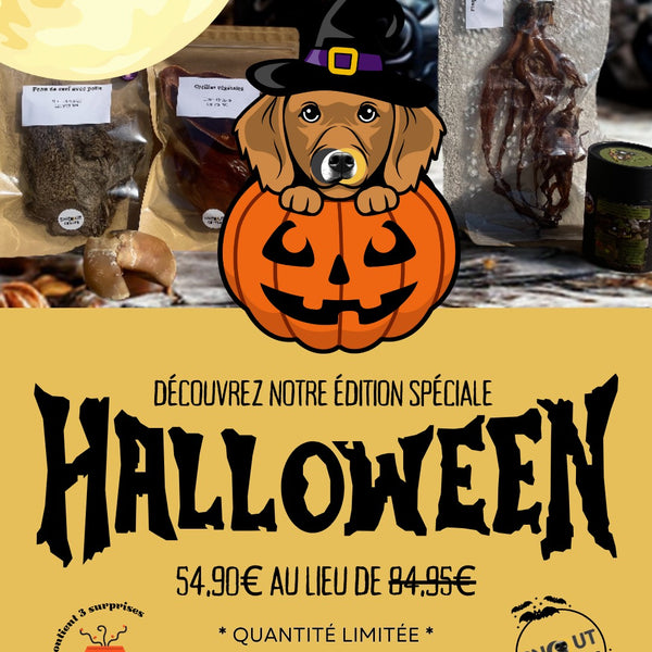 Box surprise d'Halloween