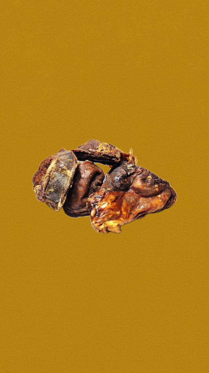 Demi testicule de taureau