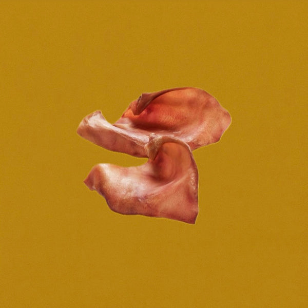 Oreille de porc standard