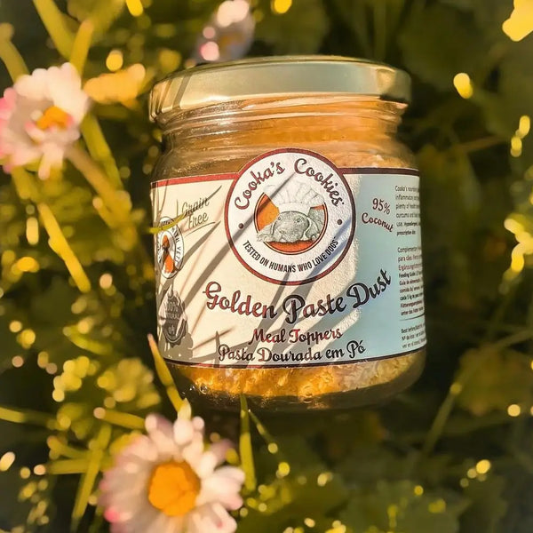 Topping Golden Past - Coco & Curcuma