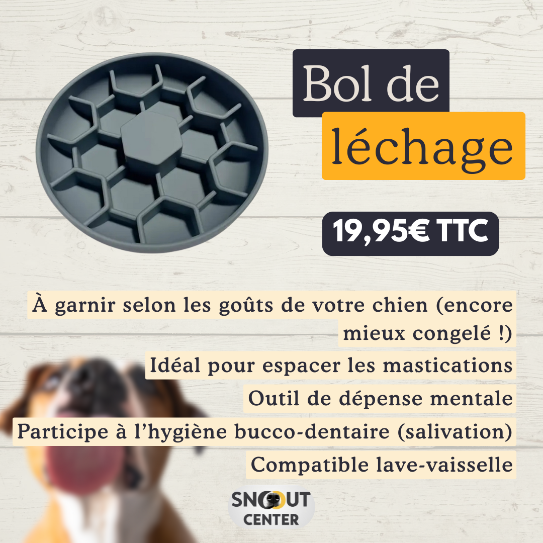 Bol de léchage - Ruche