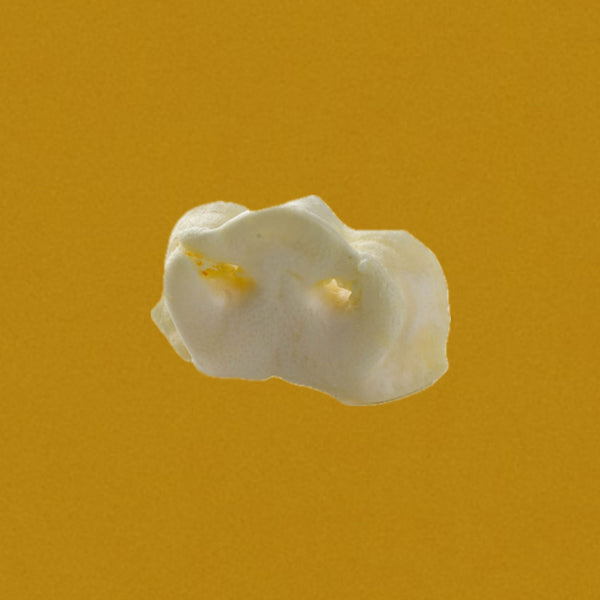 Petit nez de porc soufflé