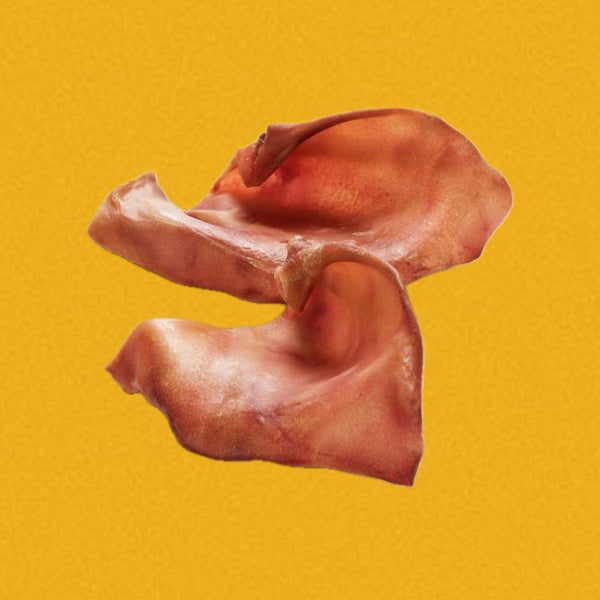 Oreille de porc standard