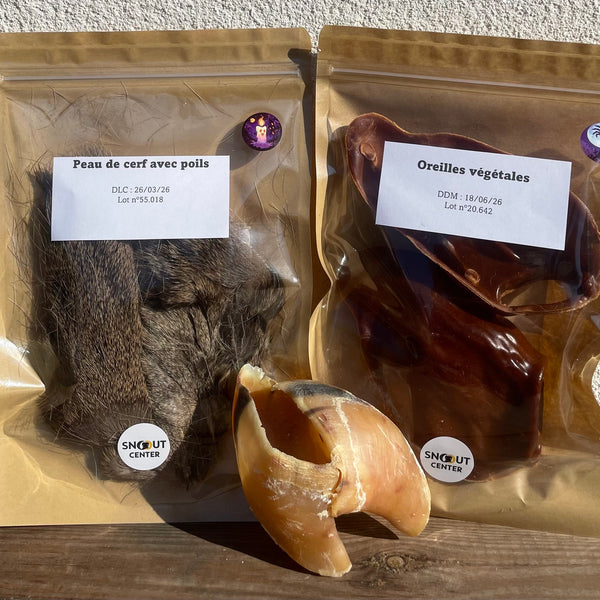 Box surprise d'Halloween