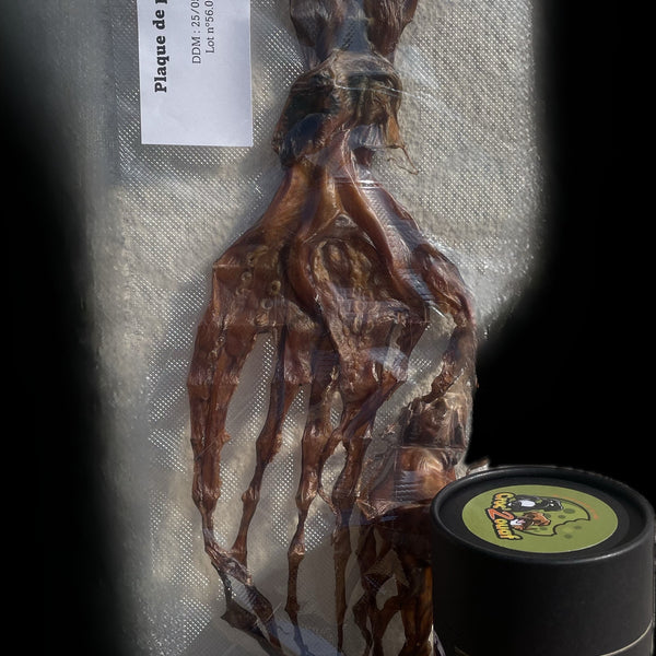 Box surprise d'Halloween