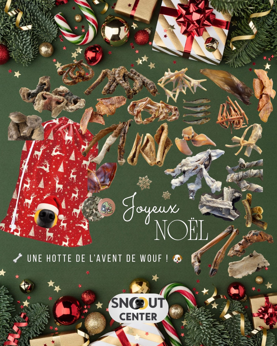 La Panoplie de Noël