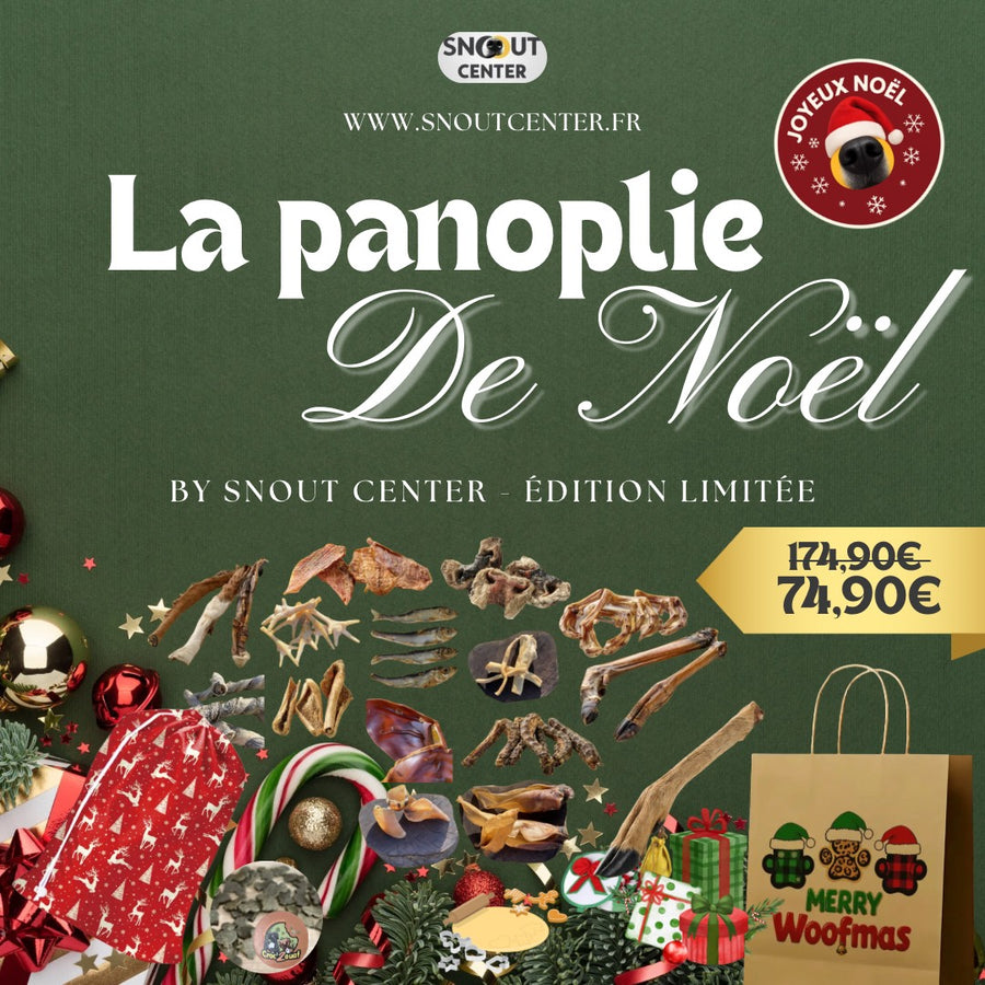 La Panoplie de Noël