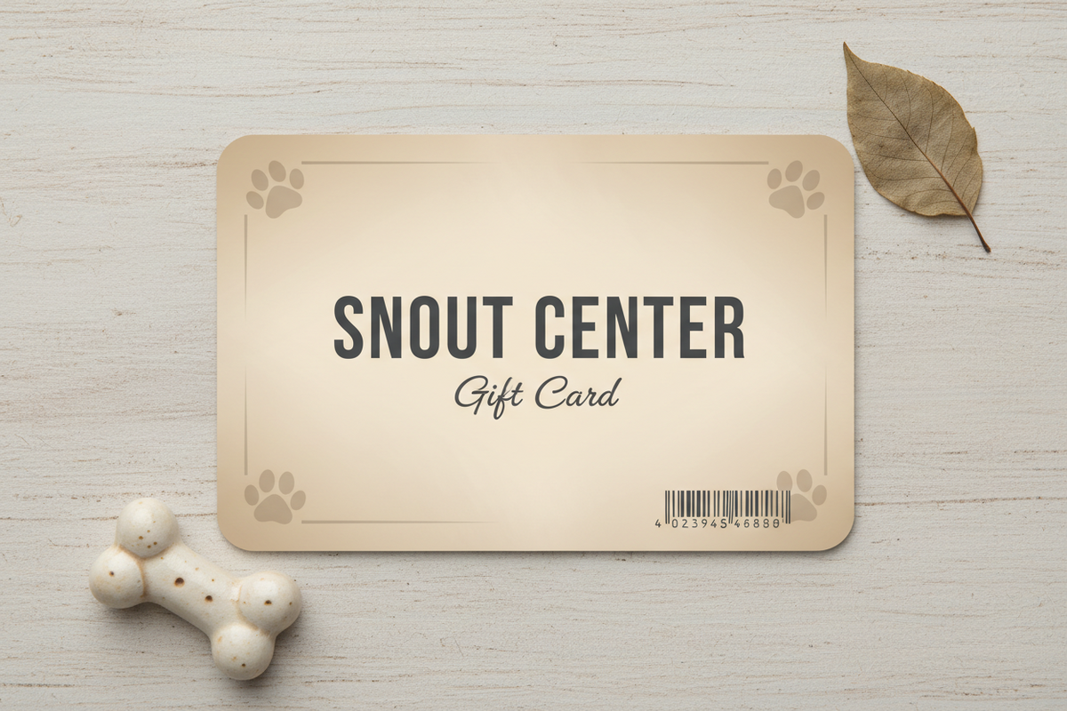 SnoutyGift 🎁