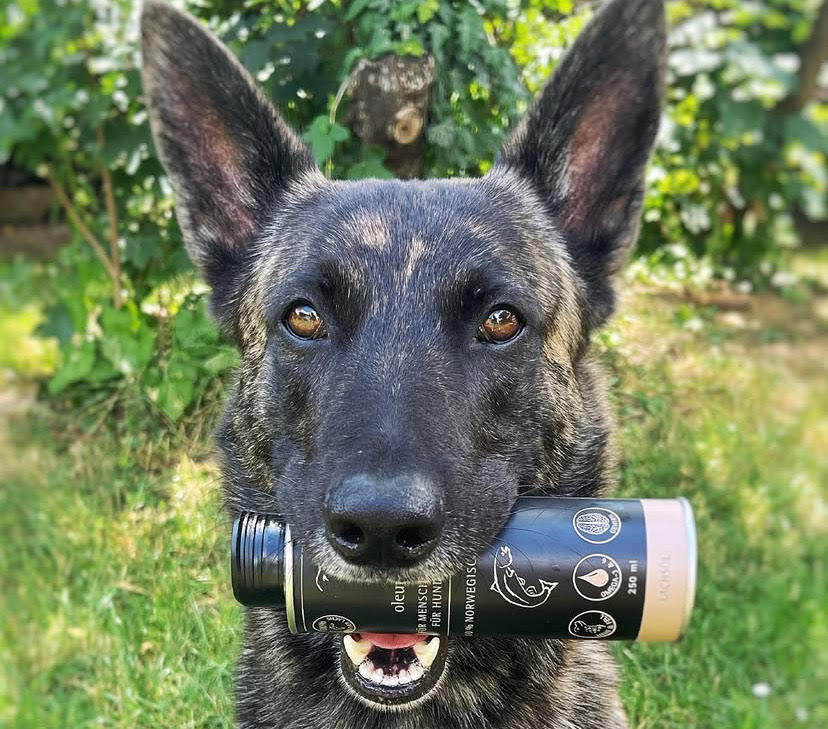 Nutrition - Forfait BARF/Ration ménagère