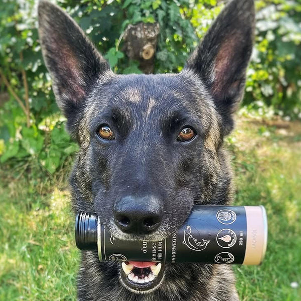 Nutrition - Forfait BARF/Ration ménagère