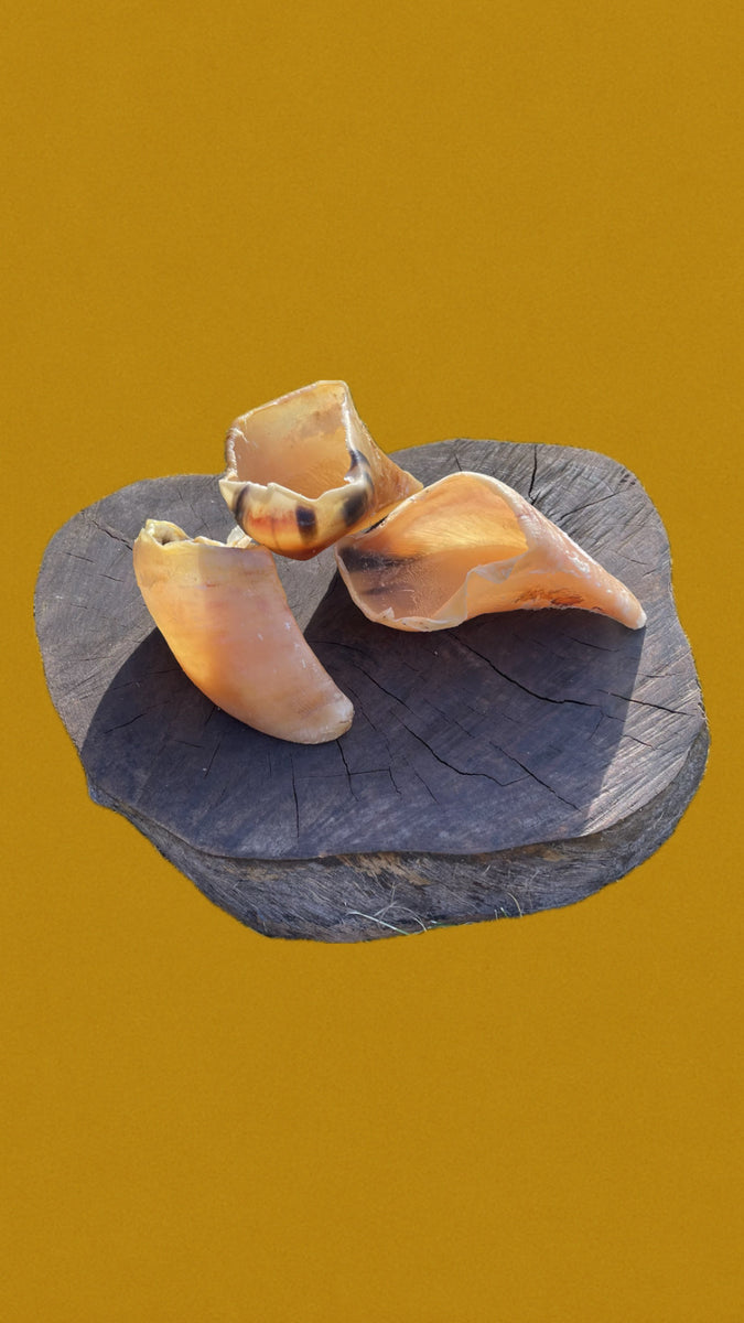 Sabots de veau