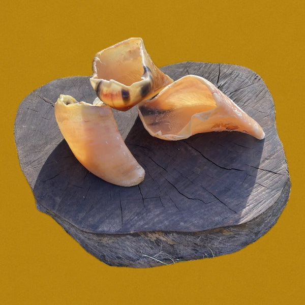 Sabots de veau