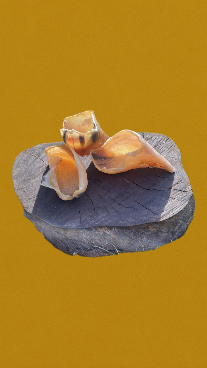 Sabots de veau