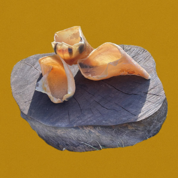 Sabots de veau