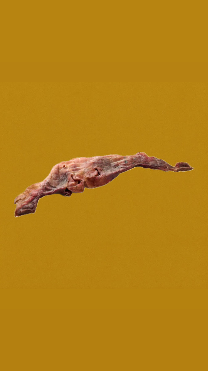 Masque de bœuf XXL 60-70cm