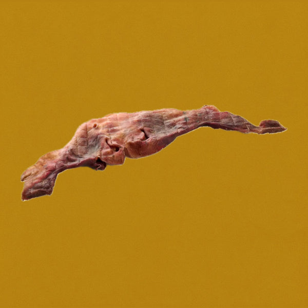 Masque de bœuf XXL 60-70cm