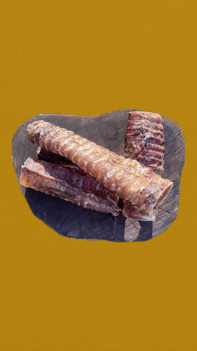 Trachées de bœuf +/- 15cm