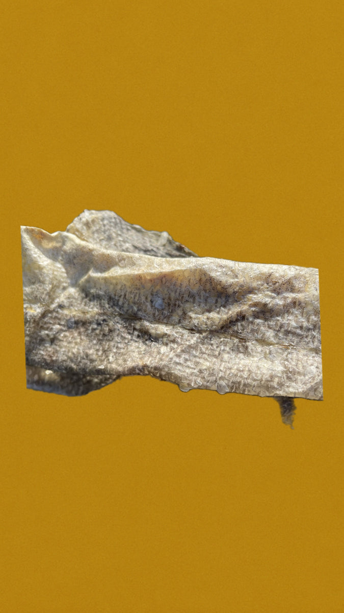 Peau de saumon 15cm