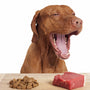 Nutrition Plan - Essential Assessment
