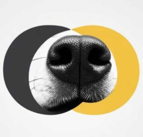 Nutrition - Pack Chiot / Croissance