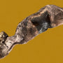 Masque de bœuf avec poils 45cm