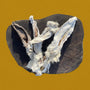 Oreilles de lapin avec poils x2