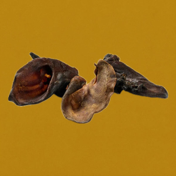 Oreilles de sanglier avec conques