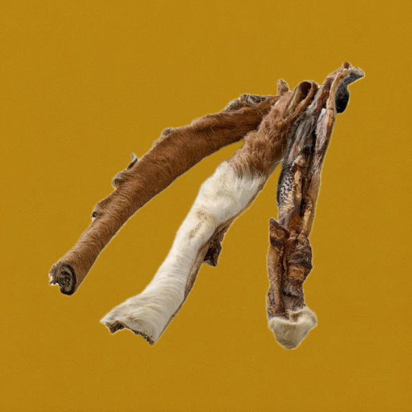 Bande de peau de Bœuf avec Poils 30cm