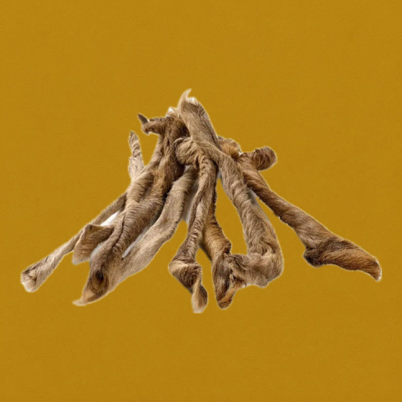 Peau de cerf avec poils