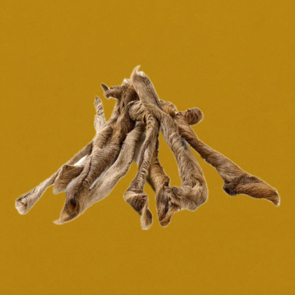 Peau de cerf avec poils