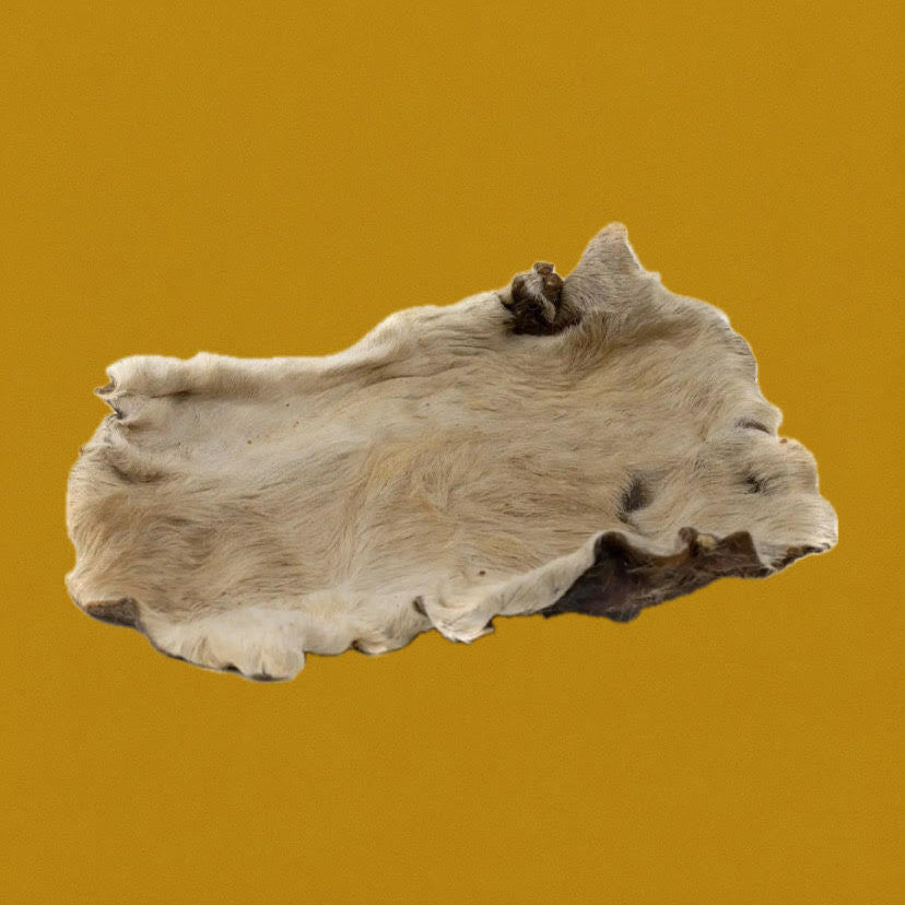 Plaque de peau de bœuf avec poils