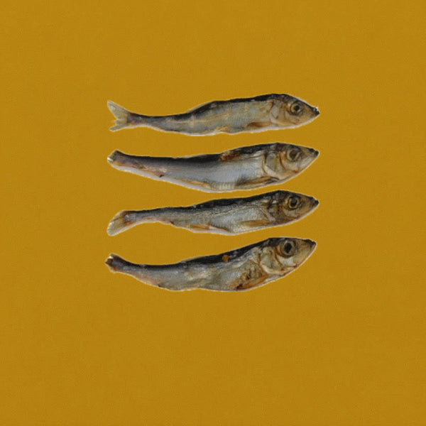 Sprats séchés