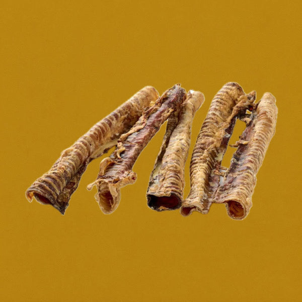 Trachée de Bœuf 30cm